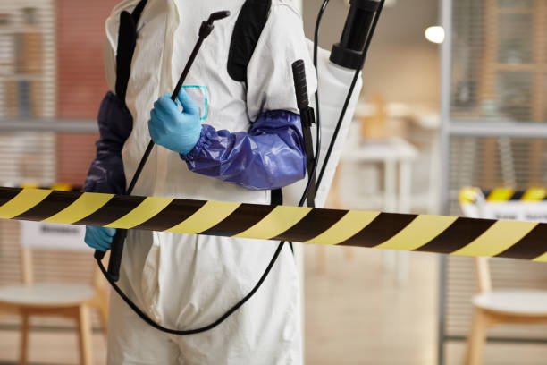 Professional Unattended Death Cleanup technician working in Diamond, IL